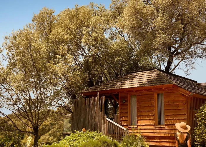 酒店 L'hostellerie Du Moulin Des Oliviers 奥尔梅托