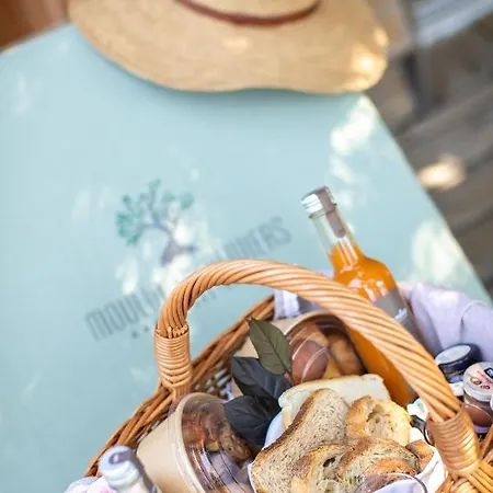 Hotel L'hostellerie Du Moulin Des Oliviers 5*