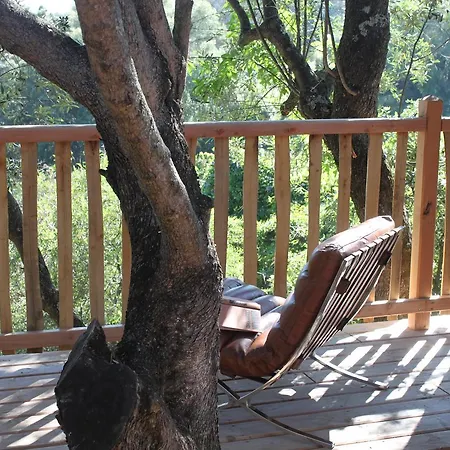 Hotel L'hostellerie Du Moulin Des Oliviers Olmeto (Corsica)