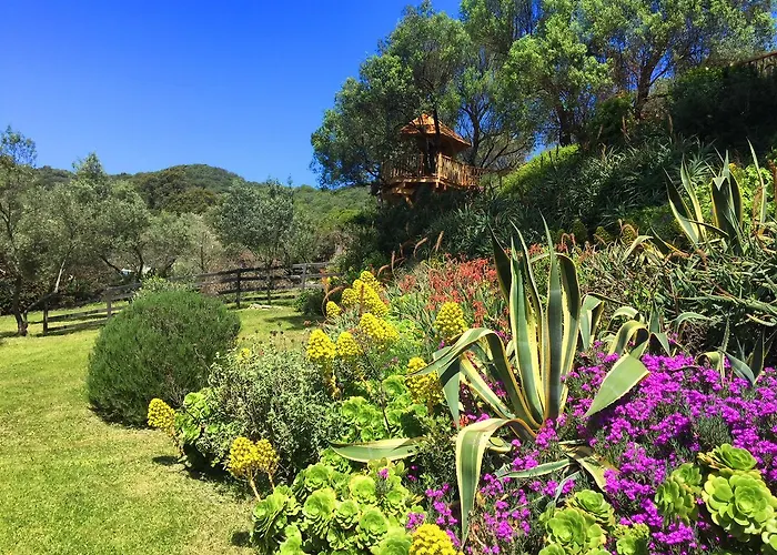Szálloda L'hostellerie Du Moulin Des Oliviers