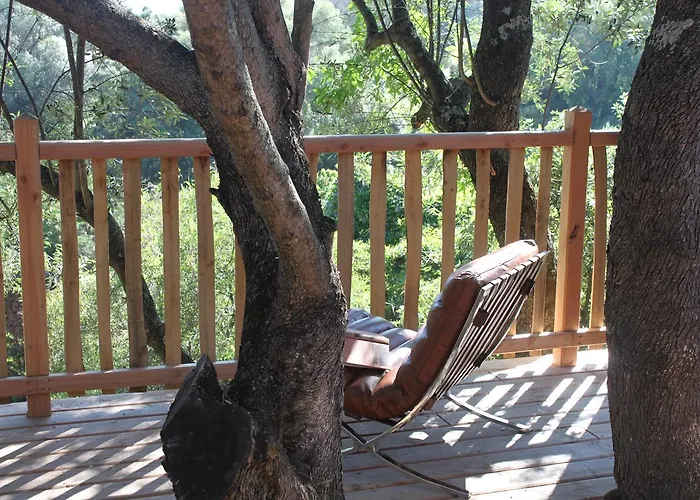Hotel L'hostellerie Du Moulin Des Oliviers Olmeto (Corsica)