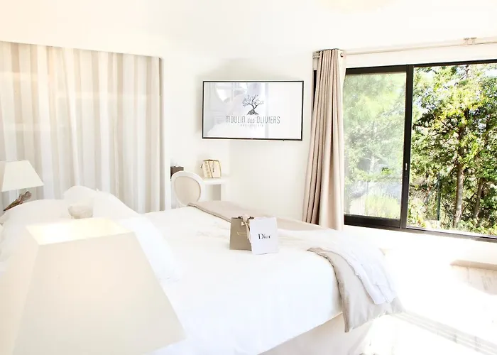 L'hostellerie Du Moulin Des Oliviers Hotel